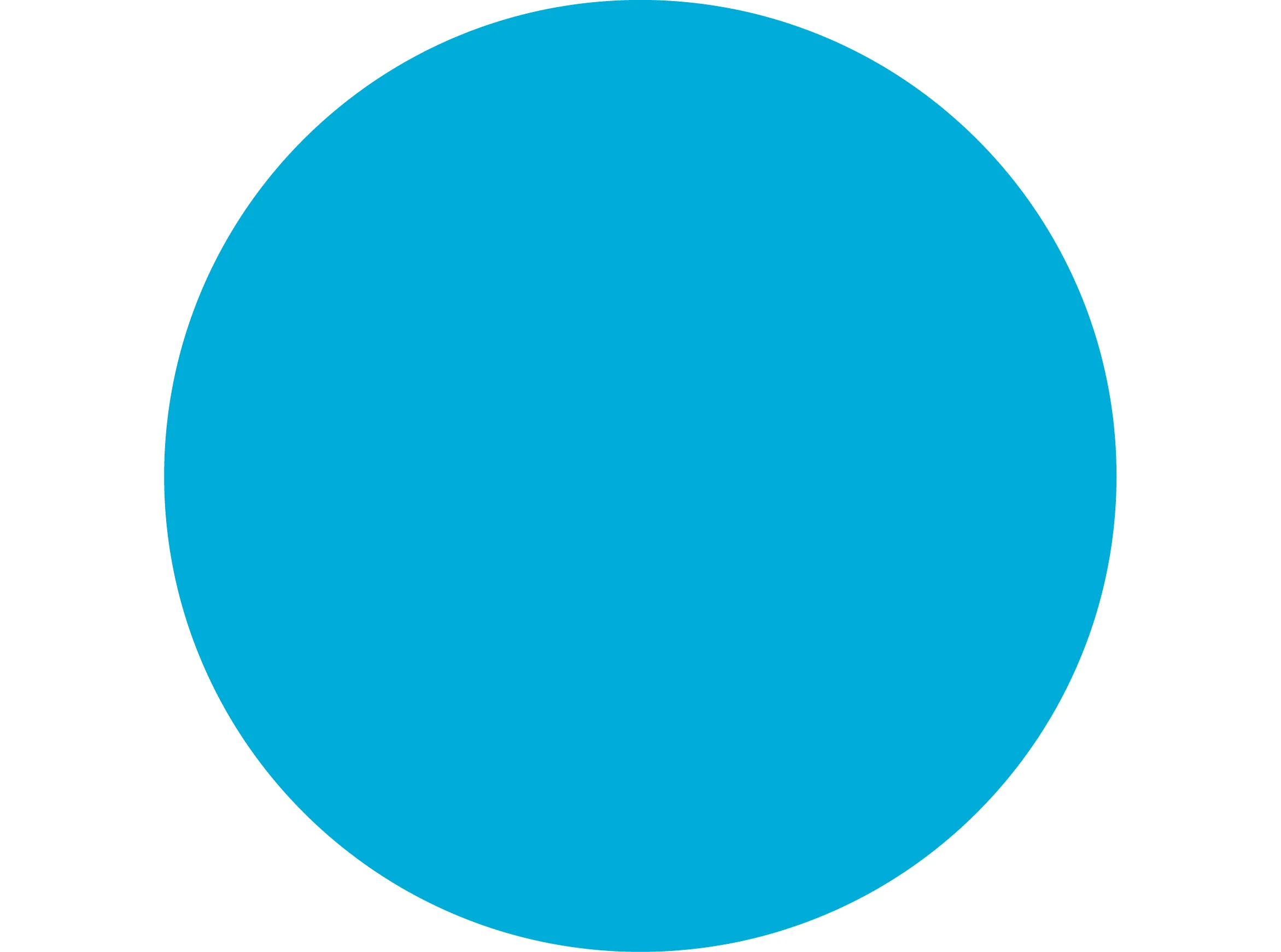 Advising + supporting consulting talents + executives
